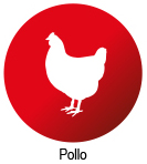 ico-pollo